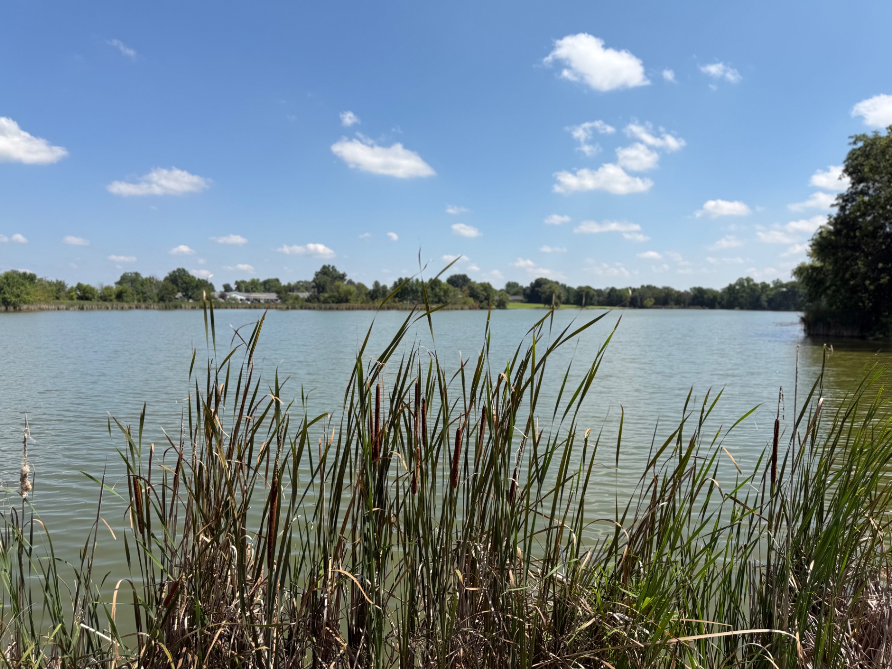 Lincoln City Lake