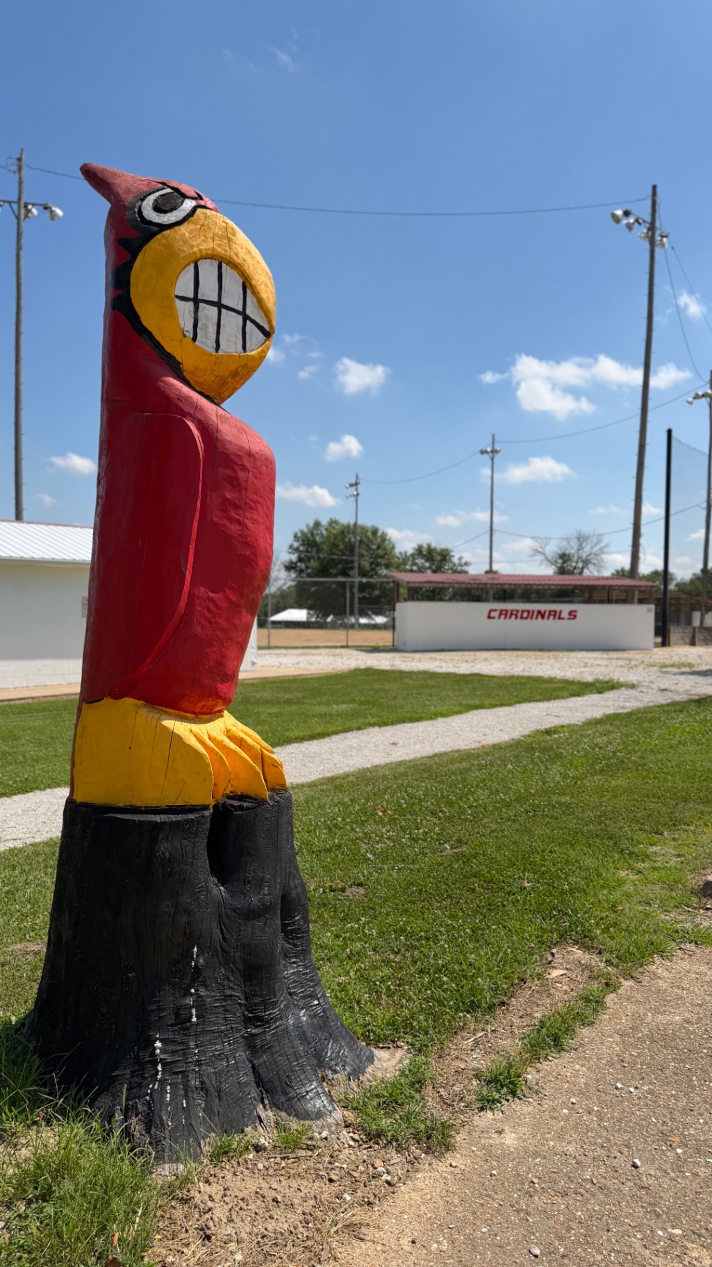 City Baseball Park photos